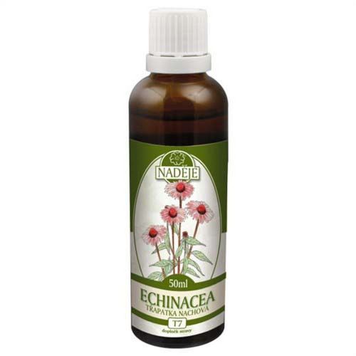 Naděje tinktura Echinacea z rostliny 50ml 40%