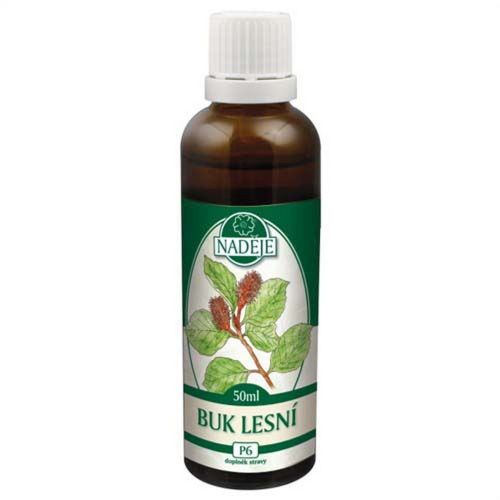 Naděje Buk lesní z pupenů 50ml 40%