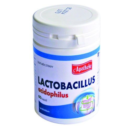 Apotheke Tablety Lactobacillus 60cps