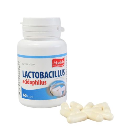 Apotheke Lactobacillus 60cps