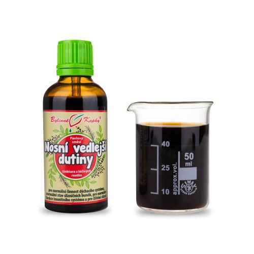 Bylinné kapky Nosní vedlejší dutiny 50ml 40%
